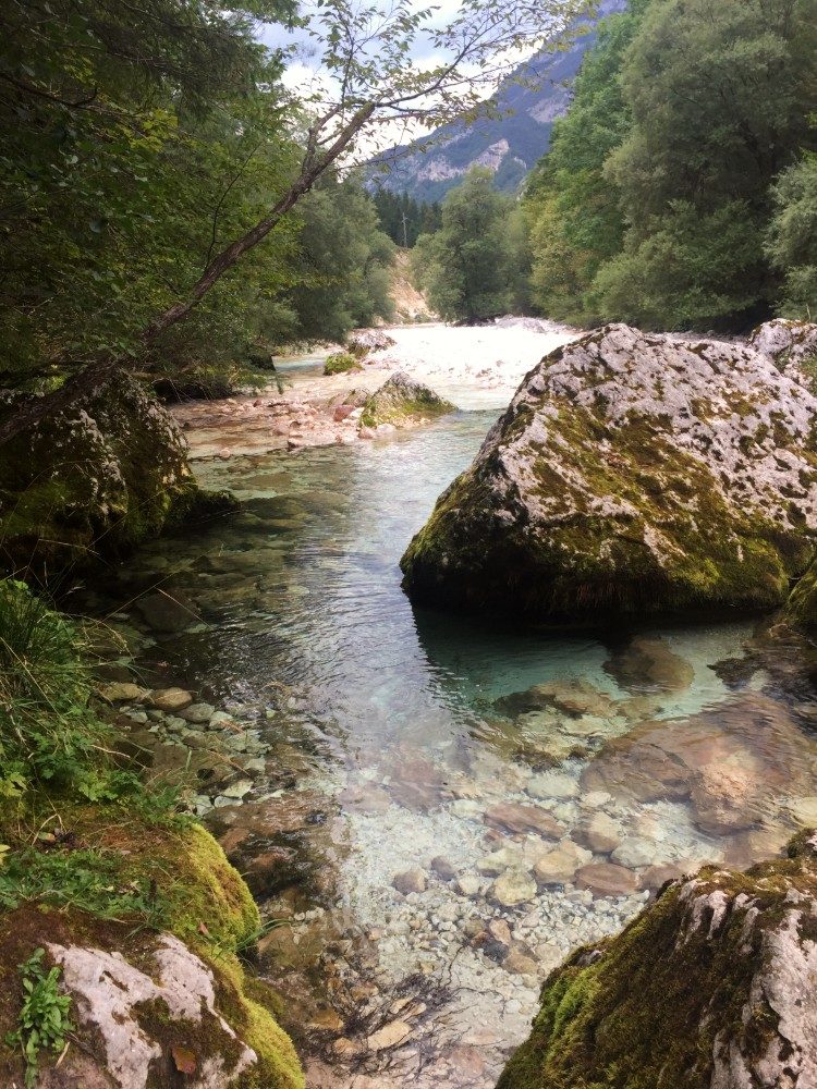 De prachtige, heldere Soča rivier in Slovenië.
