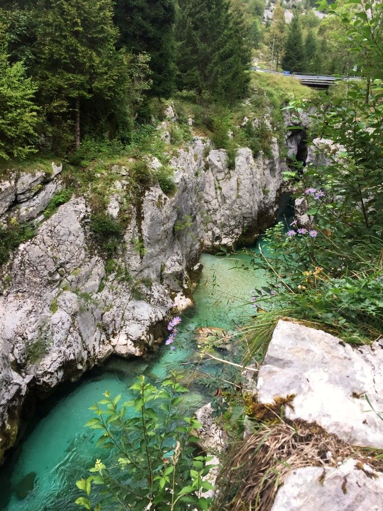 Een schitterende kloof van de Soča rivier, gelegen aan de Soča Trail in Slovenië 