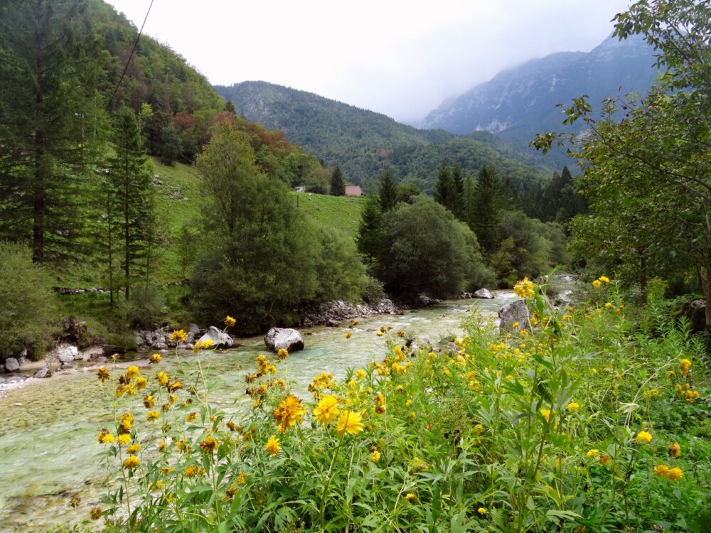 De Soča rivier in het noorden van Slovenië 
